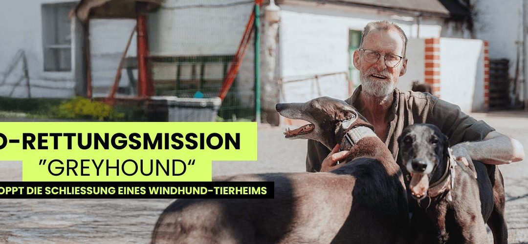 VETO tierschutz campaign for GHIN